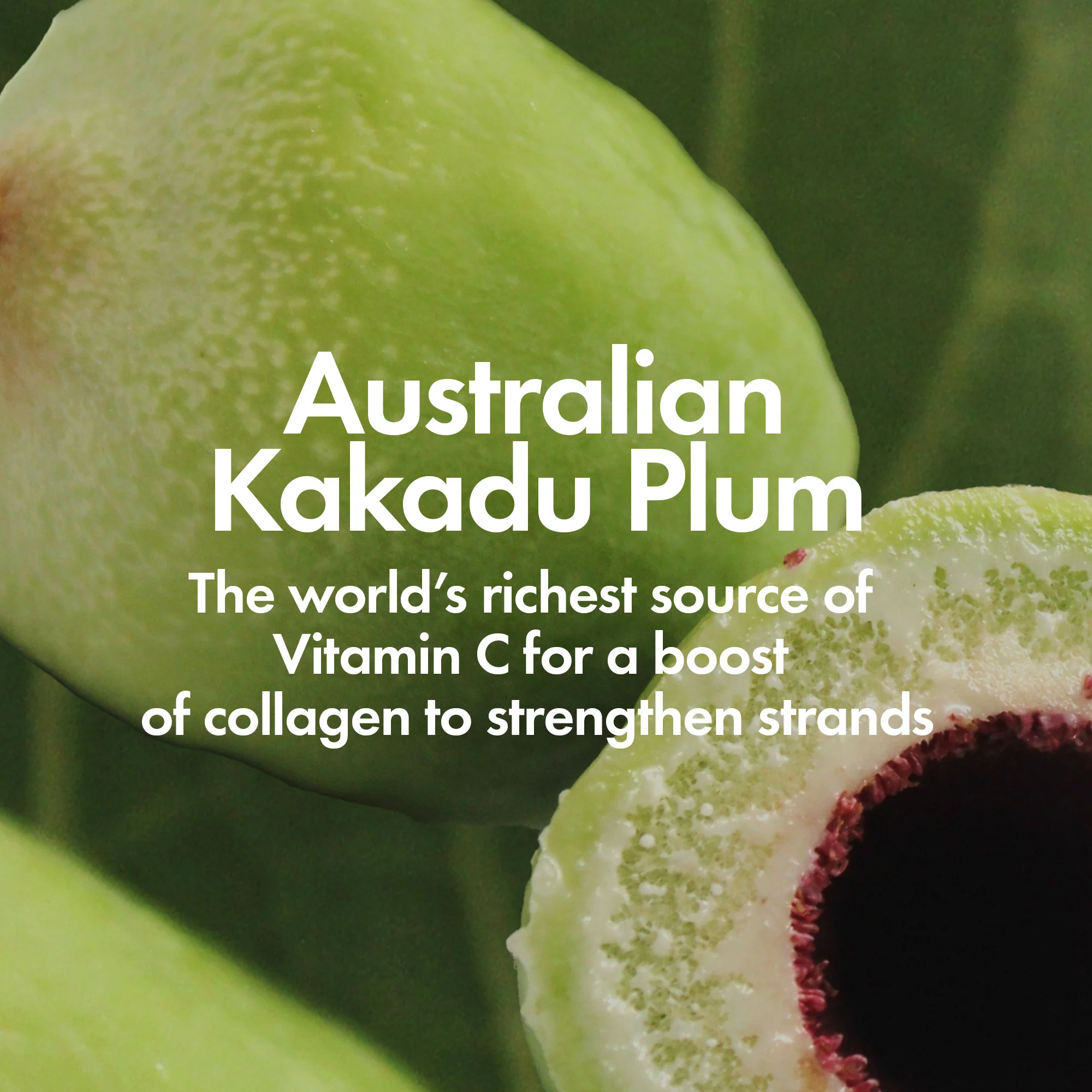 FRIZZ FIX LEAVE-IN SERUM - Image 6