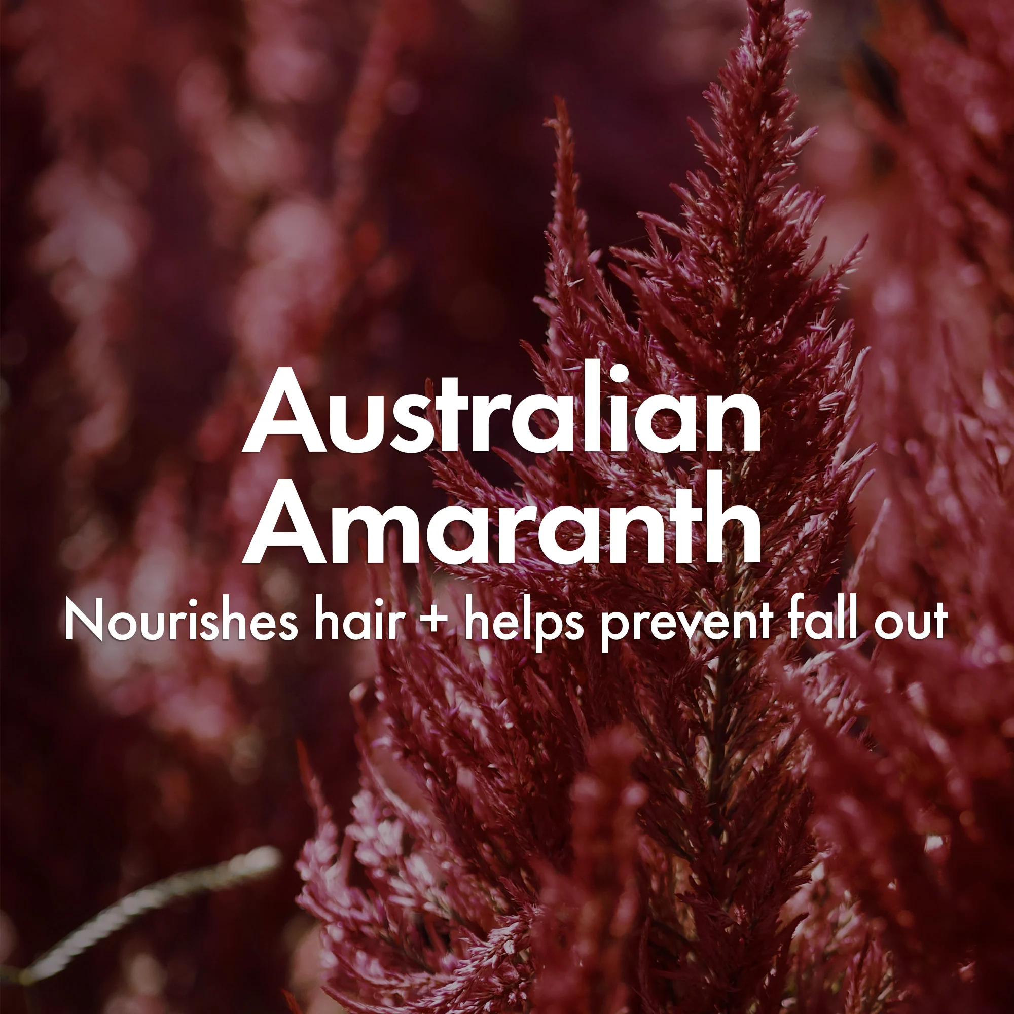 VOLUMISING SHAMPOO - Image 5