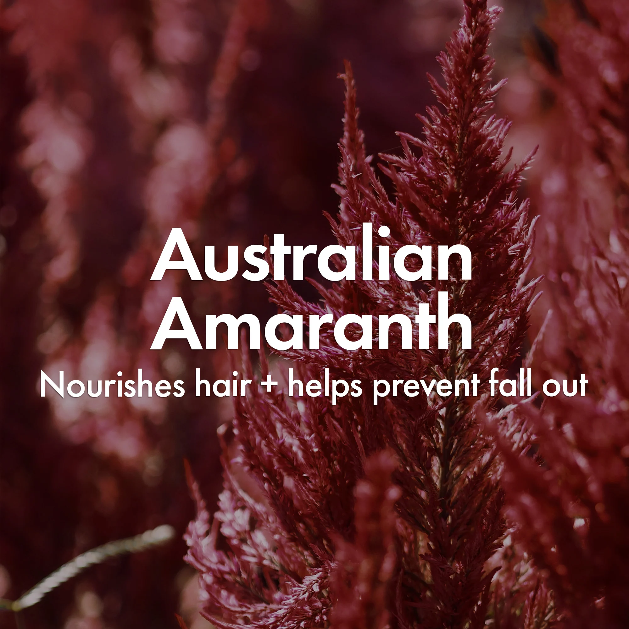 VOLUMISING STYLING SPRAY - Image 5